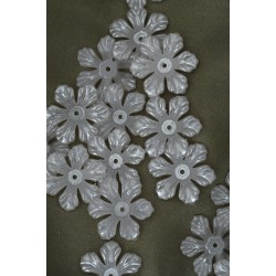 Krem Renk İnci Çiçeği Yarım Kg