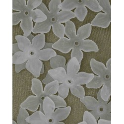 Buz Renk Sedef Çiçek Buz Renk Sedef Çiçek