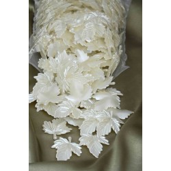 Krem Renk İnci Yaprak Krem Renk İnci Yaprak